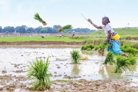 Farming